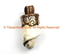 Tibetan Twisted Spiral Solid Naga Conch Shell Pendant with Handcarved Repousse Copper Cap- Boho Ethnic Tribal Tibetan Amulet- WM7197B