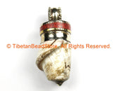 Tibetan Twisted Spiral Solid Naga Conch Shell Pendant with Coral Inlay Metal Cap- Boho Ethnic Tribal Amulet- TibetanBeadStore - WM7194B