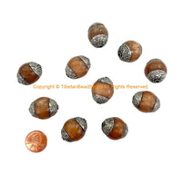 10 BEADS - Tibetan Lustrous Brown Copal Beads with Double Vajra Filigree Repousse Tibetan Silver Caps - Quality Ethnic Beads - B3538-10