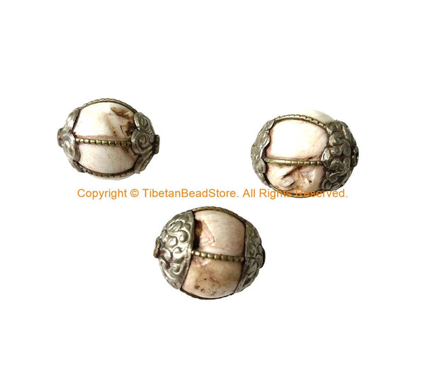 3 BEADS - BIG Tibetan Handmade Ethnic Naga Conch Shell Beads with Decorative Floral Caps & Wire Accents - Tribal Beads - B3537B