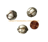 3 BEADS - BIG Tibetan Handmade Ethnic Naga Conch Shell Beads with Decorative Floral Caps & Wire Accents - Tribal Beads - B3537C