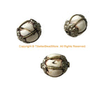 3 BEADS - BIG Tibetan Handmade Ethnic Naga Conch Shell Beads with Decorative Floral Caps & Wire Accents - Tribal Beads - B3537C