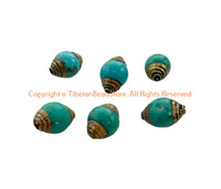 6 BEADS -  AS IS Tibetan Turquoise Howlite Beads with Brass Caps - Ethnic Nepal Tibetan Beads - B3414F