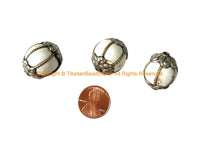 3 BEADS - BIG Tibetan Handmade Ethnic Naga Conch Shell Beads with Decorative Floral Caps & Wire Accents - Tribal Beads - B3537I
