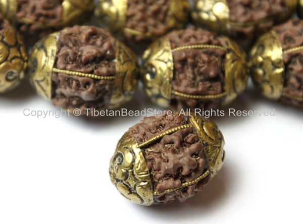 Nepal Rudraksha Beads with Tibetan Repousse Brass Caps - 1 BEAD - 20mm x 17mm - Melon Grooved Rudraksha Beads © TibetanBeadStore - B2500-1