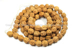 9mm Natural Rudraksha Seed Beads - Nepalese Tibetan Rudraksha Seed Prayer Mala Beads - 9mm size Rudraksha Mala by TibetanBeadStore - PB67