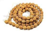 9mm Natural Rudraksha Seed Beads - Nepalese Tibetan Rudraksha Seed Prayer Mala Beads - 9mm size Rudraksha Mala by TibetanBeadStore - PB67