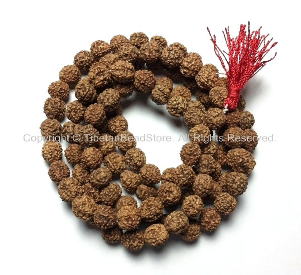 108 beads - 10mm Natural Rudraksha Seed Beads - Nepalese Tibetan Rudraksha Seed Prayer Mala Beads - Japa Mala - Mala Making Supplies - PB90 - TibetanBeadStore