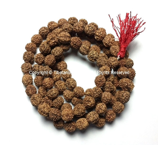 108 beads - 9mm-10mm Natural Rudraksha Seed Beads - Nepalese Tibetan Rudraksha Seed Prayer Mala Beads - Mala Making Supplies - PB81B - TibetanBeadStore