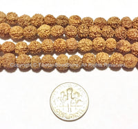 7mm Natural Rudraksha Seed Beads - 108 BEADS Nepalese Tibetan Rudraksha Seed Prayer Mala Beads - PB65A