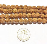 7mm Natural Rudraksha Seed Beads - 108 BEADS Nepalese Tibetan Rudraksha Seed Prayer Mala Beads - PB65A