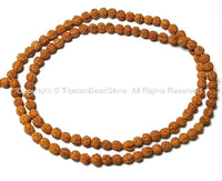 7mm Natural Rudraksha Seed Beads - 108 BEADS Nepalese Tibetan Rudraksha Seed Prayer Mala Beads - PB65A