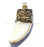 Tibetan Naga Conch Shell Horn Pendant with Handcarved Thick Brass Cap - Boho Ethnic Tribal Horn Tusk Tooth Amulet - WM6088BS
