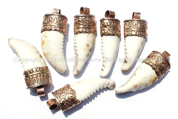 Tibetan Naga Conch Shell Horn Pendant with Handcarved Thick Copper Cap - Boho Ethnic Tribal Horn Tusk Tooth Amulet - WM6088C