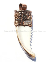 Tibetan Naga Conch Shell Horn Pendant with Handcarved Thick Copper Cap - Boho Ethnic Tribal Horn Tusk Tooth Amulet - WM6088C