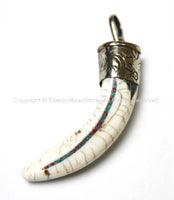 1 PENDANT - Tibetan Conch Shell Horn Tooth Pendant with Tibetan Silver Cap, Turquoise & Coral Inlays - Conch Tibetan Horn - WM2720