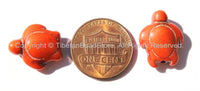 4 BEADS - Orange Coral Howlite Carved Turtle Charm Beads - Tortoise Turtle Beads - Charms, Beads, Findings - Small Turtle Beads - B2742C-4