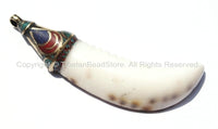 Tibetan Naga Conch Shell Horn Pendant with Brass, Lapis, Turquoise & Copal Inlaid Cap - Boho Ethnic Tribal Horn Tusk Tooth Amulet - WM6028