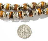 2 BEADS - Tibetan Tigers Eye Beads with Tibetan Silver Caps - Ethnic Tribal Nepalese Tibetan Beads - B2726-2