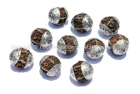 10 beads - Natural Rudraksh Tibetan Beads with Tibetan Silver Caps - Ethnic Beads - Rudraksha Rudraksh 5 Mukhi Hindu Meditation Yoga - B805