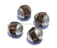 4 beads - Natural Rudraksh Tibetan Beads with Tibetan Silver Caps - Ethnic Beads - Rudraksha Rudraksh 5 Mukhi Hindu Meditation Yoga - B804