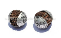 2 beads - Natural Rudraksh Tibetan Beads with Tibetan Silver Caps - Ethnic Beads - Rudraksha Rudraksh 5 Mukhi Hindu Meditation Yoga - B803