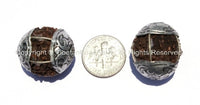2 beads - Natural Rudraksh Tibetan Beads with Tibetan Silver Caps - Ethnic Beads - Rudraksha Rudraksh 5 Mukhi Hindu Meditation Yoga - B803