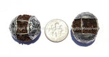 2 beads - Natural Rudraksh Tibetan Beads with Tibetan Silver Caps - Ethnic Beads - Rudraksha Rudraksh 5 Mukhi Hindu Meditation Yoga - B803