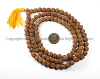 108 beads - 8-9mm Natural Rudraksha Seed Beads - Nepalese Tibetan Rudraksha Seed Prayer Mala Beads - Mala Making Supplies - PB66U