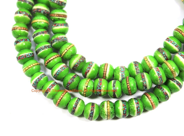 50 BEADS Light Green Bone Beads with Inlays - 8mm Tibetan Green Bone Beads with Turquoise, Coral, Metal Inlays - Ethnic Beads- LPB163-50