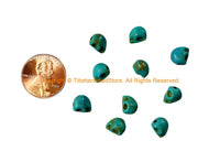 10 BEADS - Blue Turquoise Color Howlite Carved Skull Charm Beads - Skull Beads - Charms, Beads, Findings - B3401B-10