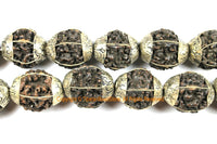 10 BEADS Natural Rudraksh Tibetan Beads with Tibetan Silver Caps - Ethnic Beads - Rudraksha Rudraksh Hindu Meditation Yoga - B3400-10