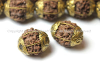 2 BEADS - Natural Rudraksh Nepal Tibetan Beads with Repousse Brass Caps - Ethnic Beads - Rudraksha Rudraksh Seed Beads - B2500-2