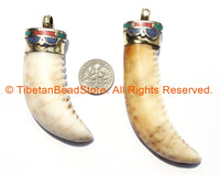 Large Tibetan Conch Shell Horn Pendant with Brass, Lapis, Turquoise & Copal Inlaid Cap - Boho Ethnic Tribal Horn Tusk Tooth Amulet - WM3419L