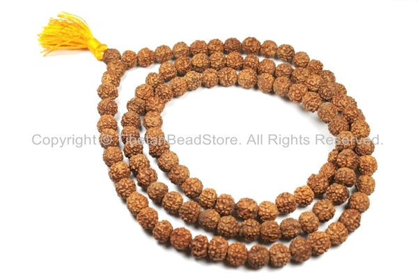 108 beads - 9mm Natural Rudraksha Seed Beads - Nepalese Tibetan Rudraksha Seed Prayer Mala Beads - Mala Making Supplies - PB66U - TibetanBeadStore
