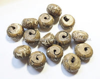 10 BEADS Antiqued Ethnic Naga Conch Shell Tibetan Beads with Om Mantra Carvings- TibetanBeadStore Handmade Tibetan Jewelry - B563-10