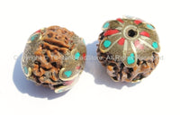 2 BEADS - Tibetan Natural Rudraksha Seed Beads with Brass, Turquoise & Coral Inlaid Caps - Ethnic Handmade Tibetan Beads - B2085-2