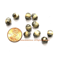 2 BEADS Small Ethnic Tibetan Naga Conch Shell Beads with Tibetan Silver Caps - Tribal Beads - Handmade Beads - TibetanBeadStore - B3451-2