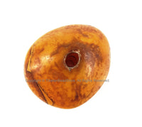 LARGE Tibetan Amber Copal Resin Bead - Ethnic Tibetan Copal Amber Resin Beads - 1 BEAD- TibetanBeadStore - A3253