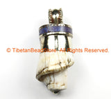 Tibetan Twisted Spiral Solid Naga Conch Shell Pendant with Lapis Inlay Metal Cap- Boho Ethnic Tribal Amulet- TibetanBeadStore - WM7196B