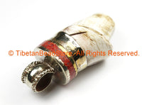 Tibetan Twisted Spiral Solid Naga Conch Shell Pendant with Coral Inlay Metal Cap- Boho Ethnic Tribal Amulet- TibetanBeadStore - WM7194B