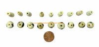 1 SET - Tibetan Inlaid White Bone Guru Bead Set - Tibetan White Bone Guru Bead & Cap - Mala Making Supply - GB8B-1