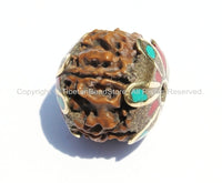 1 BEAD- Tibetan Natural Rudraksha Seed Bead with Brass, Turquoise & Coral Inlaid Caps - Ethnic Handmade Tibetan Beads - B2085-1