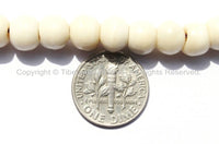 50 BEADS - Tibetan White Bone Beads - 8mm Size Cream White Tibetan Bone Beads - Mala Supplies - LPB76-50