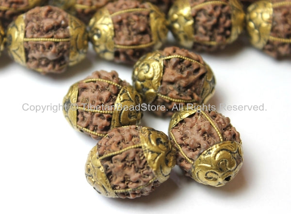 4 BEADS - Nepal Rudraksha Beads with Tibetan Repousse Brass Caps - 20mm x 17mm - Melon Grooved Rudraksha Beads © TibetanBeadStore - B2500-4