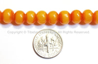 50 BEADS - BIG 10mm Size Tibetan Resin Beads- Mala Supplies Light Weight Amber Color Resin Beads Tibetan Beads - LPB115B-50