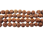 50 beads 10mm Natural Rudraksha Seed Beads - Nepal Tibetan Rudraksha Seed Prayer Mala Beads- Mala Making Supplies - LPB90Y-50