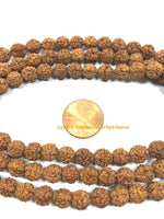 7mm Natural Rudraksha Beads from Nepal - Natural Seed Beads - Yoga Mala - Rudraksha Seed Mala Beads - 108 Rudraksha Beads - PB201