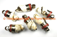 Tibetan Twisted Spiral Solid Naga Conch Shell Pendant with Coral Inlay Metal Cap- Boho Ethnic Tribal Amulet- TibetanBeadStore - WM7194B