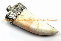 LARGE Tibetan Solid Naga Conch Shell Horn Pendant with Handcarved Repousse Metal Cap- Boho Ethnic Tribal Horn Tusk Tooth Amulet - WM6126B